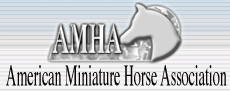 American Miniature Horse Association