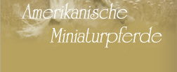 Amerikanische Miniaturpferde - Miniaturpferdezucht Zirbenhof Kleinarl